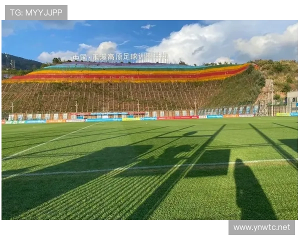 山东泰山体系漏洞显现,一场失利暴露防守稳定性问题 山东泰山体系漏洞显现,一场失利暴露防守稳定性问题