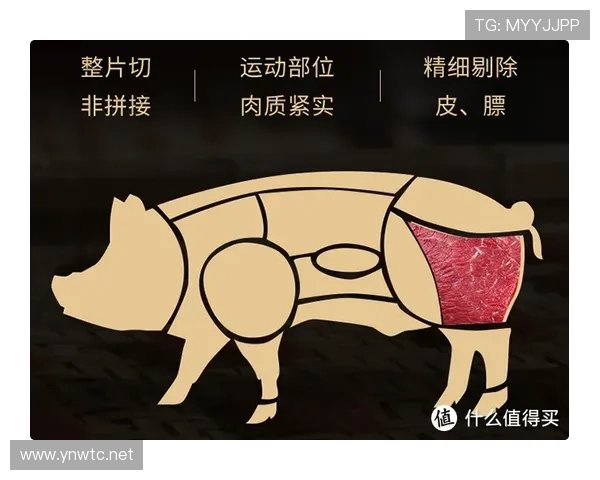 梅西家冰箱里塞满蛋白粉，连娃的零食都是低脂的