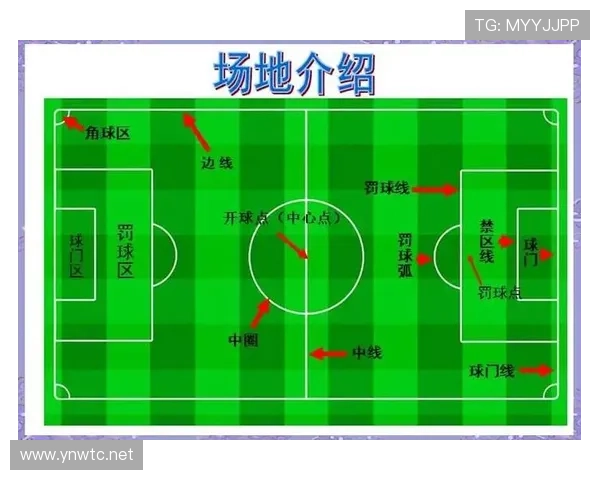 球门尺寸规则有哪些细节必须严格遵守？完整拆解标准尺寸与误区