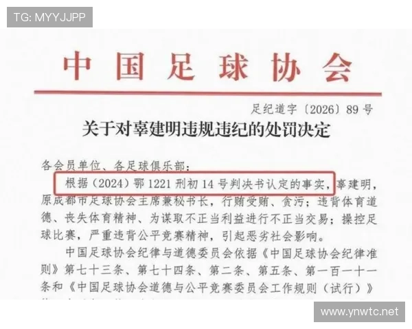 足球纪律委员会处罚规则：哪些行为会带来禁赛和罚款？